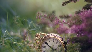 Time Forgotten Image: Desktop Nexus