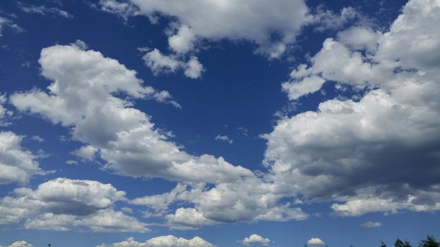 wp-1464964300731 image